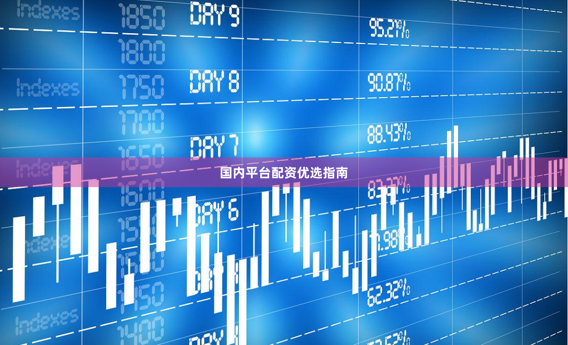 国内平台配资优选指南